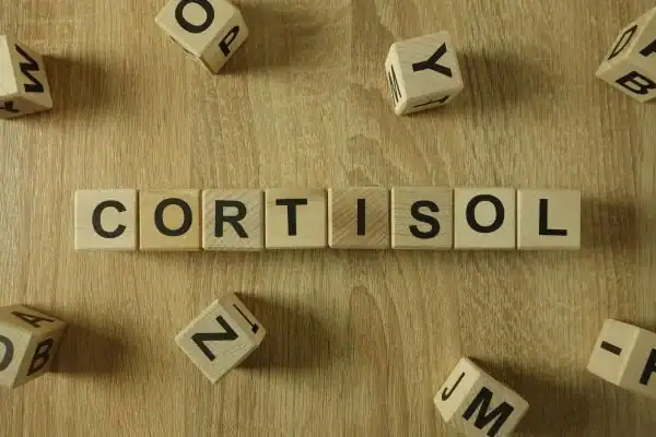 The Hidden Connection: How Stress Shapes Your Fitness and Body Composition 2 Image saying "Cortisol" and how stress Trowbridge impacts your wellbeing and bodies shape